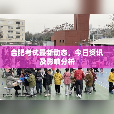 合肥考試最新動(dòng)態(tài)，今日資訊及影響分析