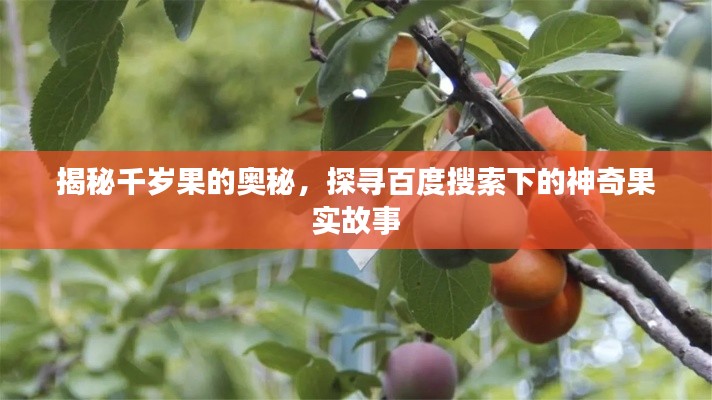揭秘千歲果的奧秘，探尋百度搜索下的神奇果實故事