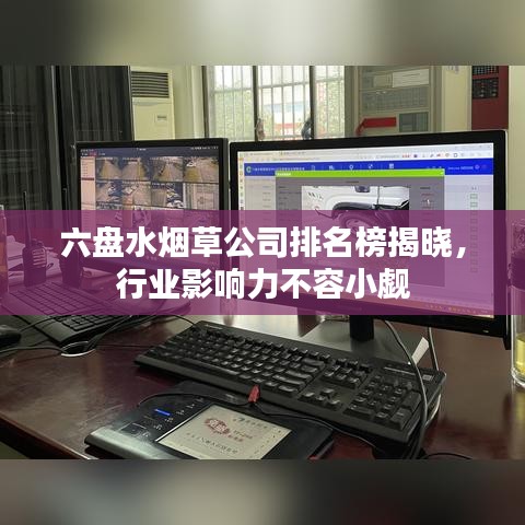 六盤水煙草公司排名榜揭曉，行業影響力不容小覷