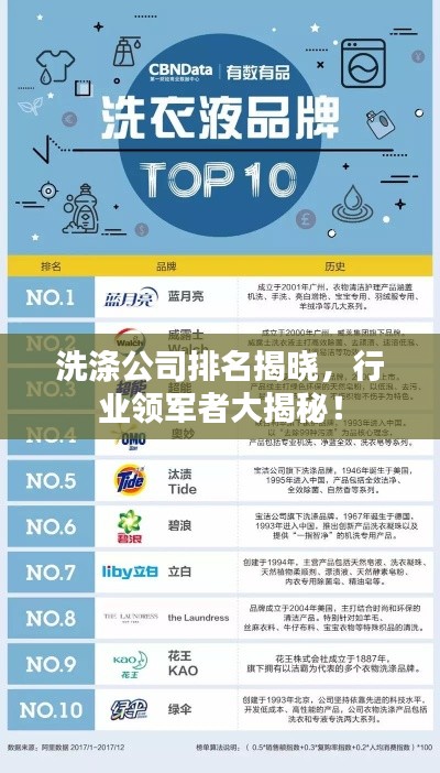 洗滌公司排名揭曉，行業領軍者大揭秘！