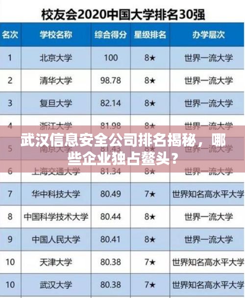 武漢信息安全公司排名揭秘，哪些企業獨占鰲頭？