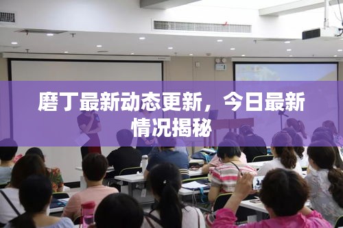 磨丁最新動態更新，今日最新情況揭秘