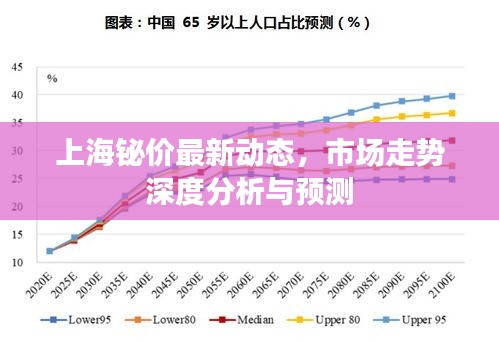 上海鉍價最新動態，市場走勢深度分析與預測