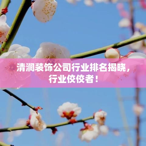 清澗裝飾公司行業(yè)排名揭曉，行業(yè)佼佼者！