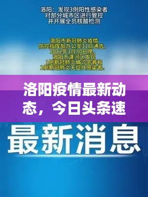 洛陽疫情最新動態(tài)，今日頭條速覽