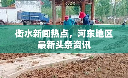 衡水新聞熱點，河東地區最新頭條資訊