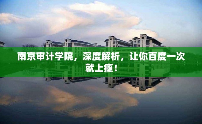 南京審計學院，深度解析，讓你百度一次就上癮！