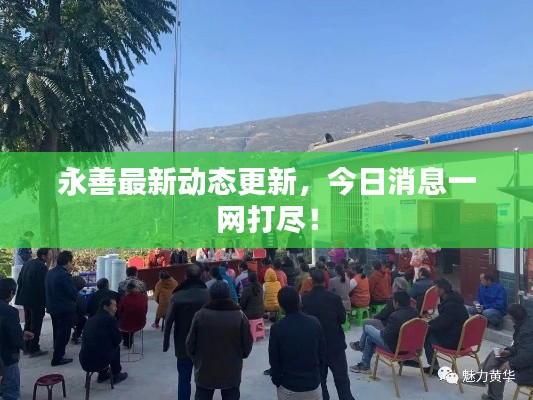永善最新動態更新，今日消息一網打盡！