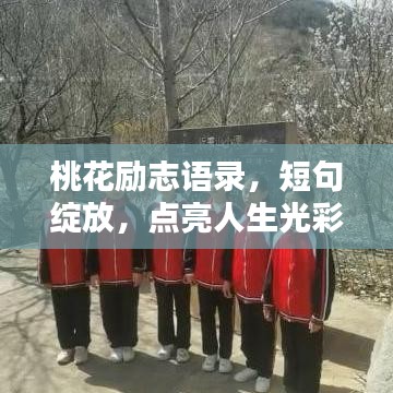 桃花勵志語錄，短句綻放，點亮人生光彩
