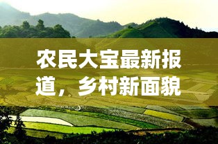 農(nóng)民大寶最新報(bào)道，鄉(xiāng)村新面貌與發(fā)展動力揭秘
