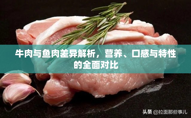 牛肉與魚肉差異解析，營養(yǎng)、口感與特性的全面對比