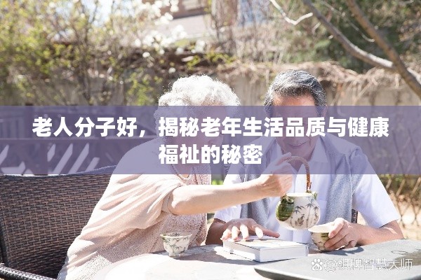 老人分子好，揭秘老年生活品質與健康福祉的秘密