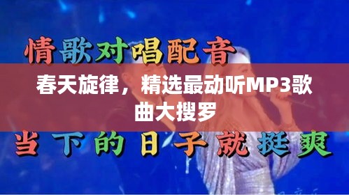 春天旋律，精選最動聽MP3歌曲大搜羅