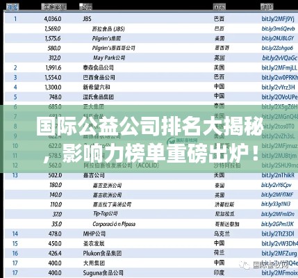 國際公益公司排名大揭秘，影響力榜單重磅出爐！
