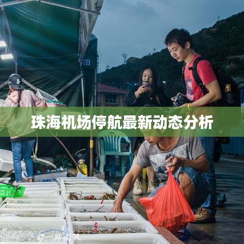 珠海機場停航最新動態分析