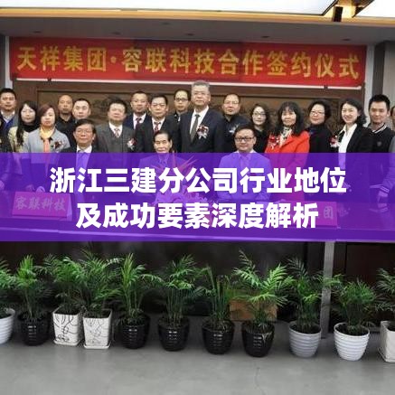 浙江三建分公司行業地位及成功要素深度解析