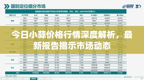 今日小蒜價格行情深度解析，最新報告揭示市場動態(tài)