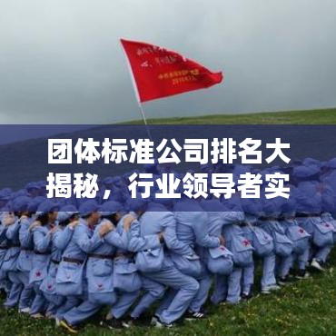 團體標準公司排名大揭秘，行業(yè)領導者實力榜