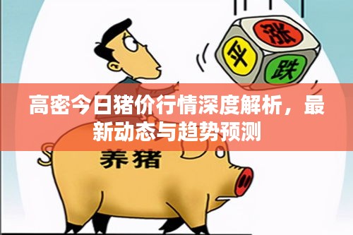 高密今日豬價(jià)行情深度解析，最新動(dòng)態(tài)與趨勢(shì)預(yù)測(cè)
