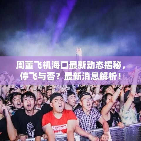 周董飛機海口最新動態揭秘，停飛與否？最新消息解析！