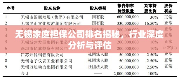 無錫家庭擔保公司排名揭秘，行業深度分析與評估