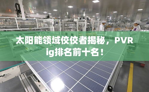 太陽(yáng)能領(lǐng)域佼佼者揭秘，PVRig排名前十名！