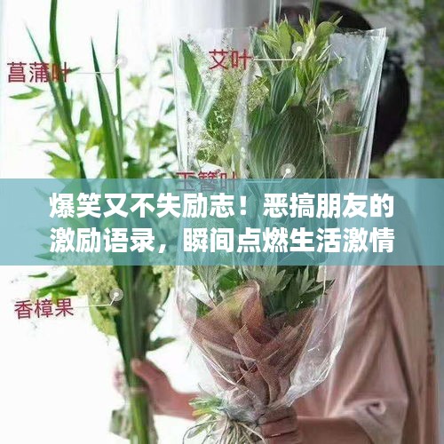 爆笑又不失勵志！惡搞朋友的激勵語錄，瞬間點燃生活激情！