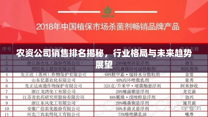 農資公司銷售排名揭秘，行業格局與未來趨勢展望