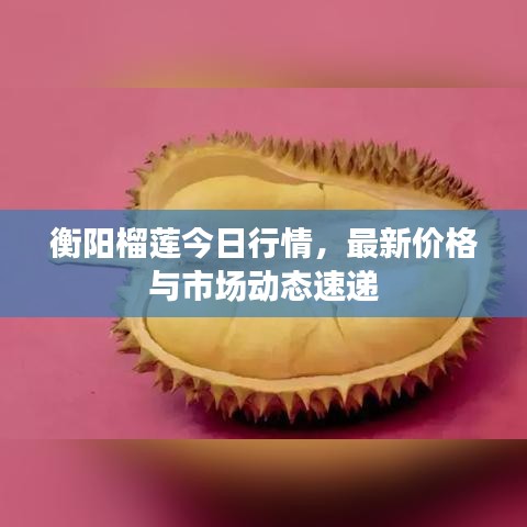 衡陽榴蓮今日行情，最新價(jià)格與市場(chǎng)動(dòng)態(tài)速遞
