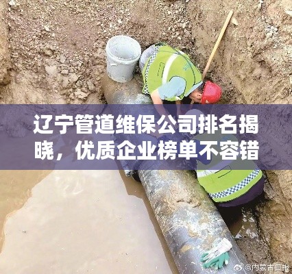 遼寧管道維保公司排名揭曉，優(yōu)質(zhì)企業(yè)榜單不容錯(cuò)過！