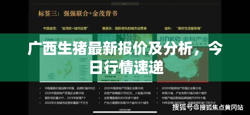 廣西生豬最新報(bào)價(jià)及分析，今日行情速遞