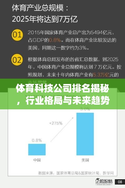 體育科技公司排名揭秘，行業(yè)格局與未來(lái)趨勢(shì)展望