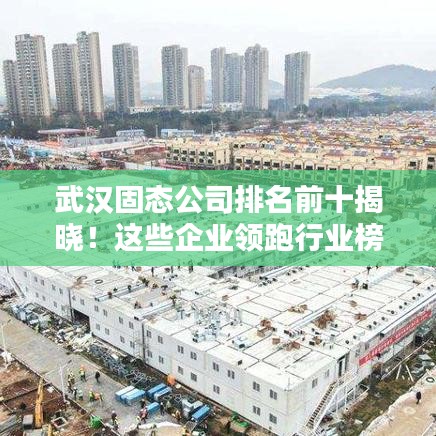 武漢固態(tài)公司排名前十揭曉！這些企業(yè)領(lǐng)跑行業(yè)榜單