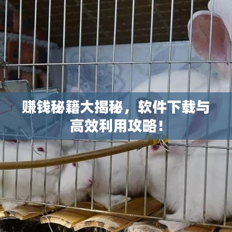 賺錢秘籍大揭秘，軟件下載與高效利用攻略！