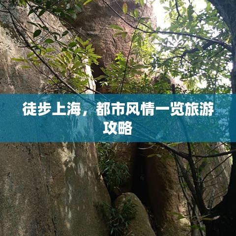 徒步上海，都市風情一覽旅游攻略