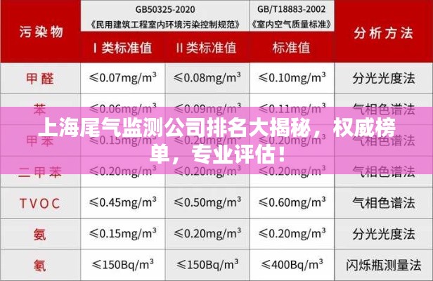 上海尾氣監測公司排名大揭秘，權威榜單，專業評估！