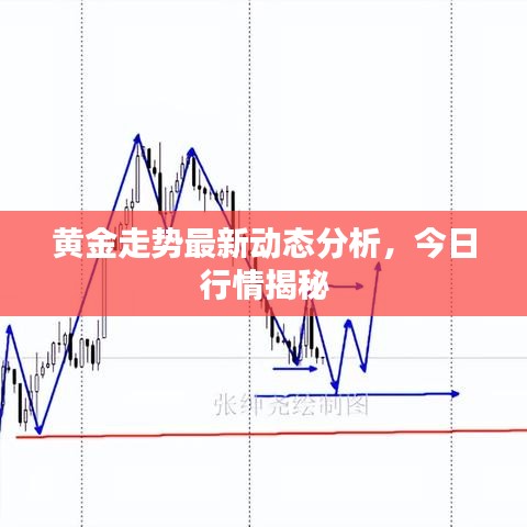 黃金走勢最新動態分析，今日行情揭秘