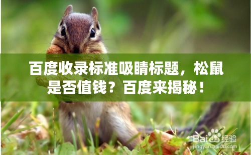 百度收錄標準吸睛標題，松鼠是否值錢？百度來揭秘！