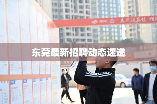 東莞最新招聘動態速遞
