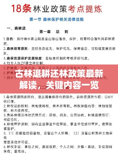 古林退耕還林政策最新解讀，關鍵內容一覽