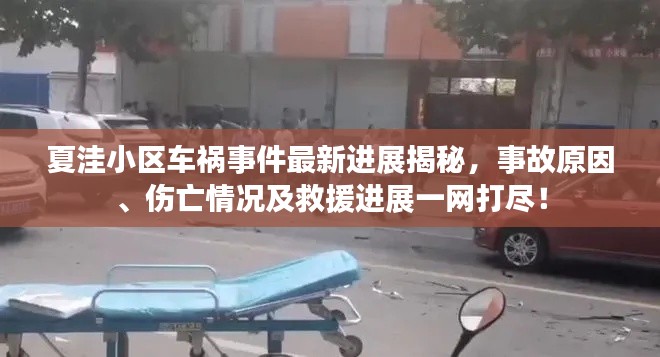 夏洼小區車禍事件最新進展揭秘，事故原因、傷亡情況及救援進展一網打盡！