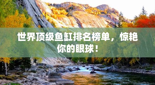 世界頂級魚缸排名榜單，驚艷你的眼球！