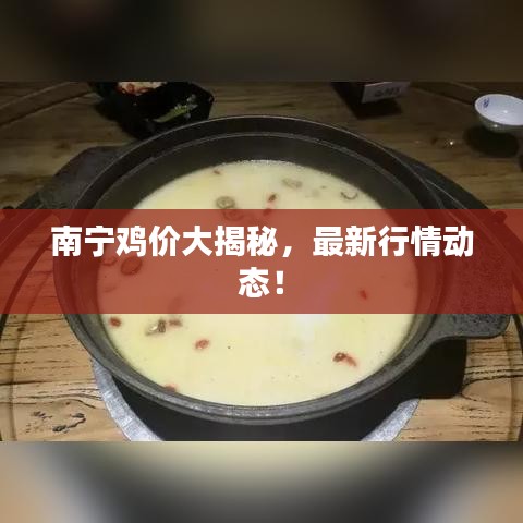 南寧雞價大揭秘，最新行情動態！