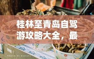 桂林至青島自駕游攻略大全，最新路線、住宿、美食一網打盡！