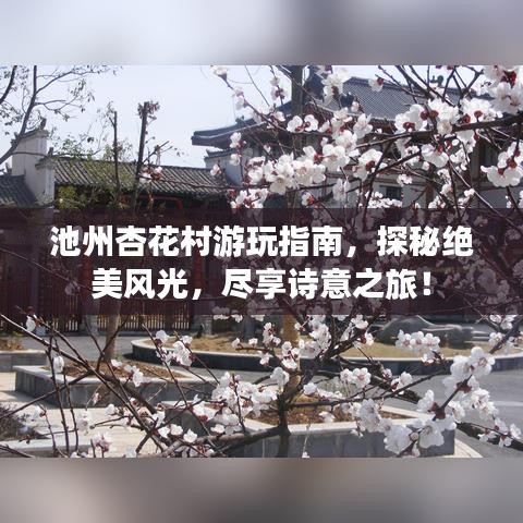 池州杏花村游玩指南，探秘絕美風(fēng)光，盡享詩意之旅！