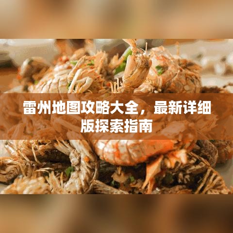 雷州地圖攻略大全，最新詳細(xì)版探索指南
