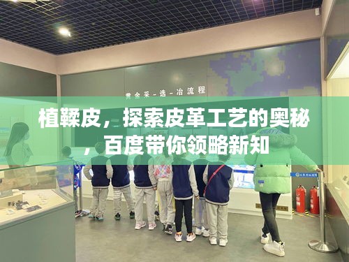 植鞣皮，探索皮革工藝的奧秘，百度帶你領略新知