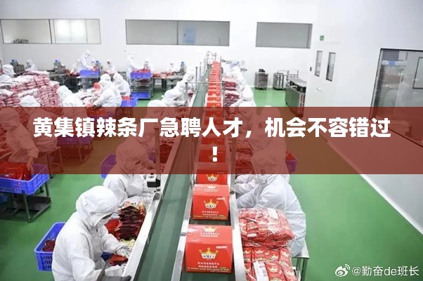 黃集鎮(zhèn)辣條廠急聘人才，機(jī)會(huì)不容錯(cuò)過！