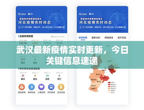 武漢最新疫情實時更新，今日關鍵信息速遞