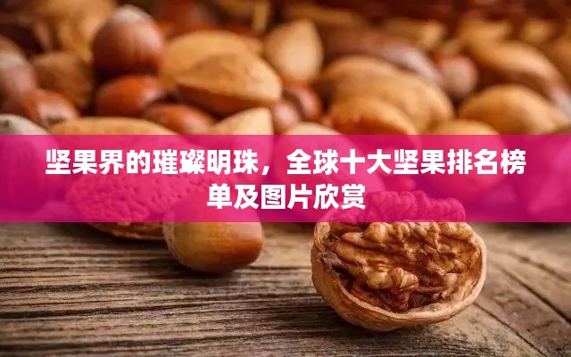 資料大全 第34頁